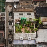 3_Farm-Yau-Ma-Tei