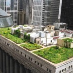 6_Chicago-City-Hall-Green-Roof