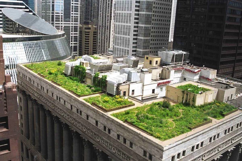 6_Chicago-City-Hall-Green-Roof