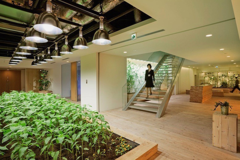 Urban-Farm-at-Pasona-Tokyo-Headquarters-ideasgn2-Yoshimi-Kono