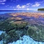 beautiful-coral-reef