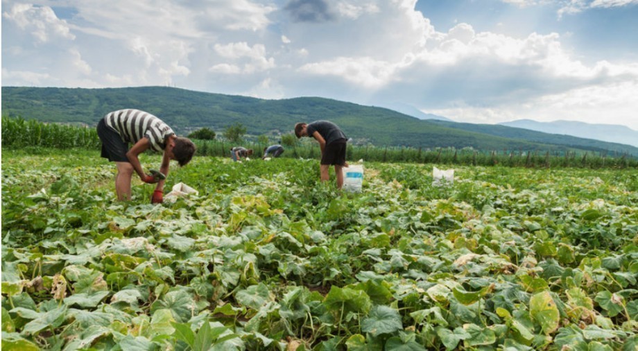 Coup de massue pour l’agriculture « bio » de France