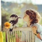 penguin-magpie-rescue-friendship-bloom-family-australia-21