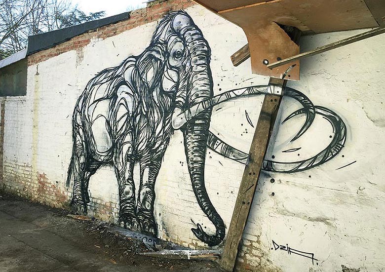 street-art-geometric-line-animals-dzia-belgium-13