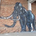 street-art-geometric-line-animals-dzia-belgium-2