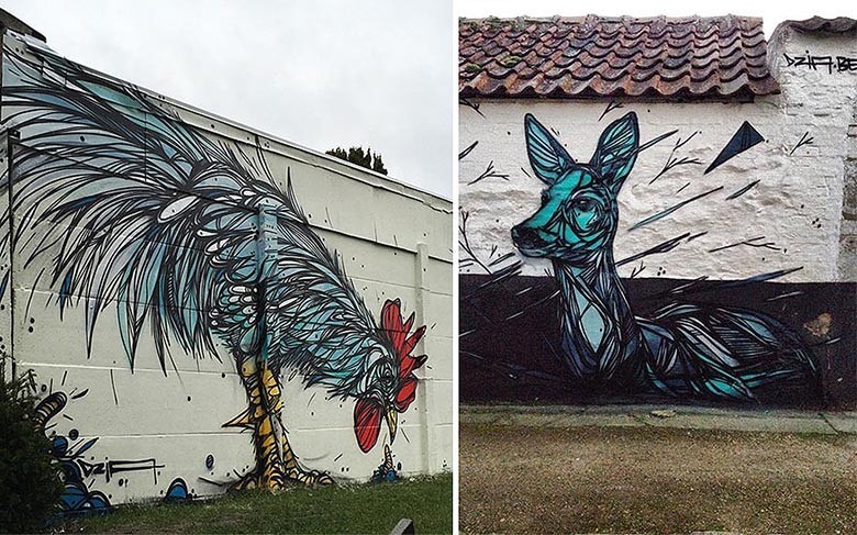 street-art-geometric-line-animals-dzia-belgium-23