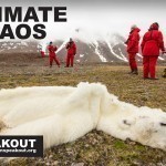 Climate-Chaos-Polar-Bear