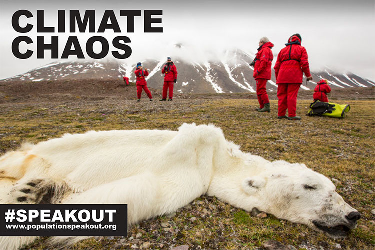 Climate-Chaos-Polar-Bear