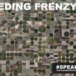 Feeding-Frenzy-Fields-Irrigation