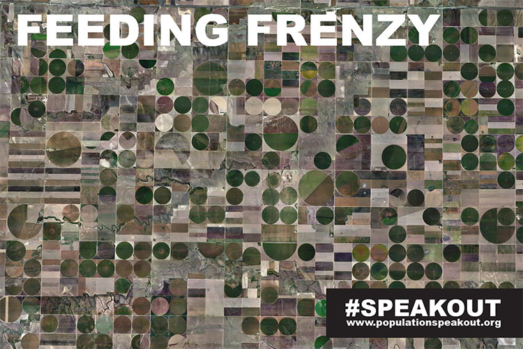 Feeding-Frenzy-Fields-Irrigation