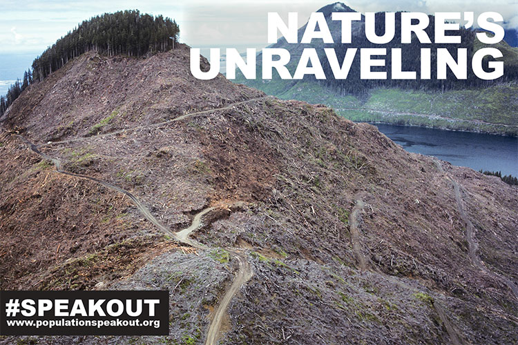 Natures-Unraveling-Clear-Cut