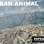 Urban-Animal-Waves-of-Humanity