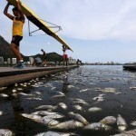 dead fish rio de janeiro 6