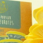 kit-pret-a-pousser-champignons-pleurotes-couteau-opinel-presentation