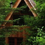 Cool-forest-house-clad-in-wood