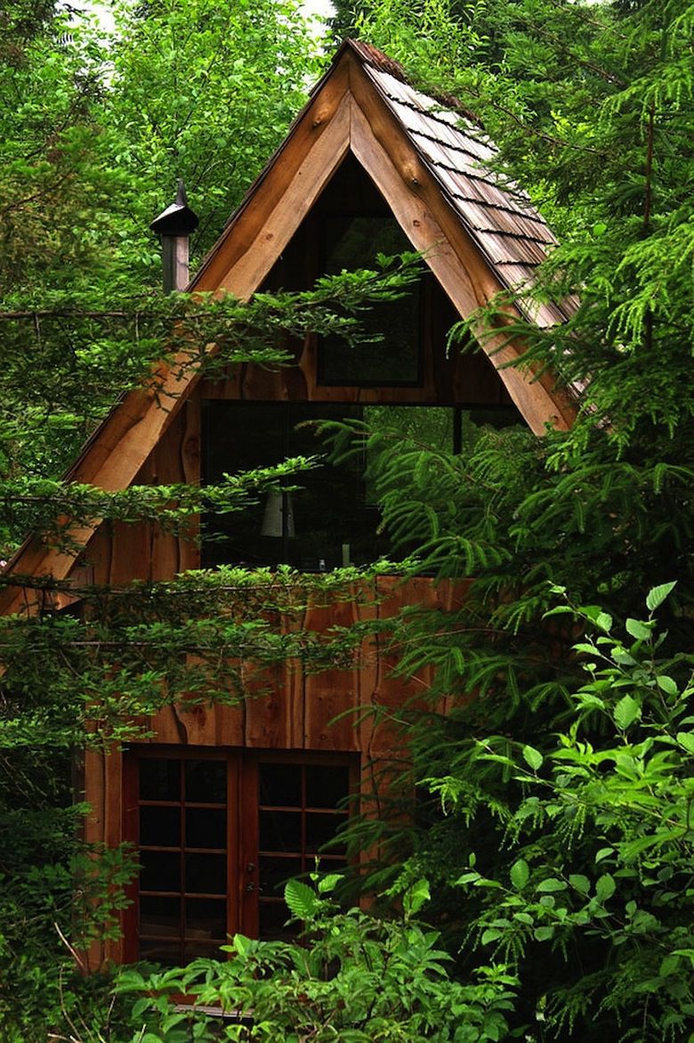 Cool-forest-house-clad-in-wood