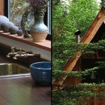 JapaneseForestHouse33