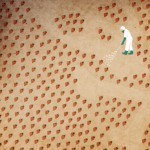 Strawberry-kaitihsu-small-1