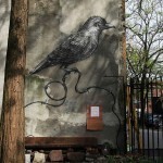 brooklyn-street-art-roa-jaime-rojo-manhattan-12-13-web-5