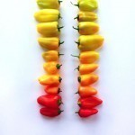 colorful-food-arrangement-photography-foodgradients-brittany-wright-20-605×605