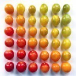 colorful-food-arrangement-photography-foodgradients-brittany-wright-7-605×605