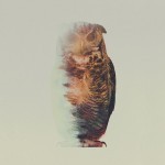 double-exposure-animal-photography-andreas-lie-11__880