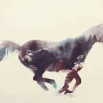 double-exposure-animal-photography-andreas-lie-18__880