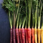 food-gradient-photography-brittany-wright-seattle-111