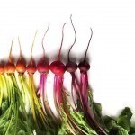 food-gradient-photography-brittany-wright-seattle-112