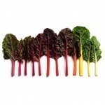 food-gradient-photography-brittany-wright-seattle-113