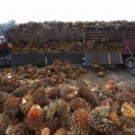 palm_oil_truck-mr_uis9ysr