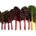 static1.squarespace.com