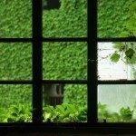 150610154853-03-dsc09561—-super-169