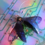 3563351a6357643df6d64dc8a8bce96b_0_1429797554