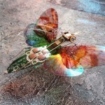 Les-Insectes-ailés-électroniques-de-Julie-Alice-Chappell-02