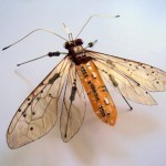 Les-Insectes-ailés-électroniques-de-Julie-Alice-Chappell-05
