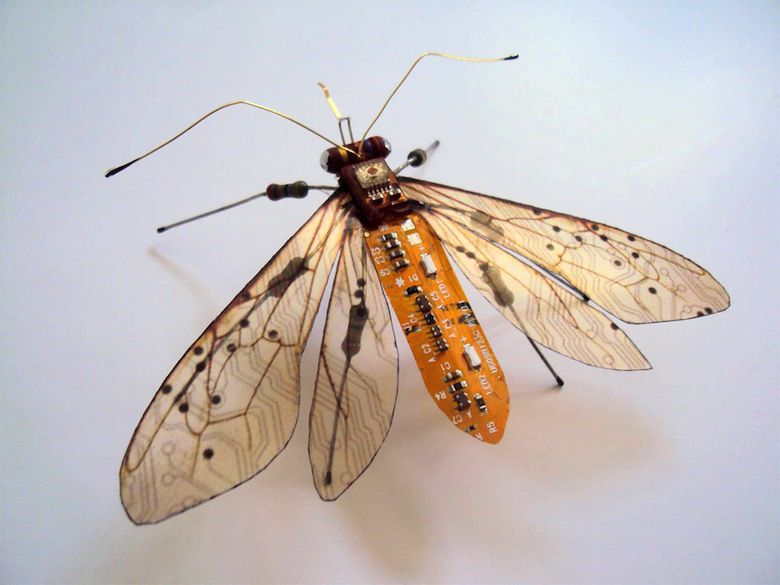 Les-Insectes-ailés-électroniques-de-Julie-Alice-Chappell-05