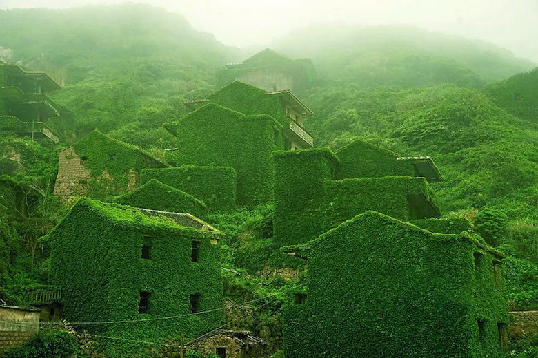 Un village chinois est englouti par la nature  Abandoned-village-zhoushan-china-100