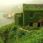 abandoned-village-zhoushan-china-101