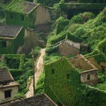 abandoned-village-zhoushan-china-103