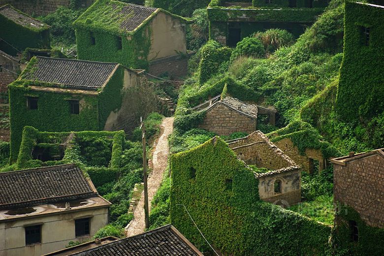 Un village chinois est englouti par la nature  Abandoned-village-zhoushan-china-103