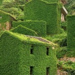 abandoned-village-zhoushan-china-105