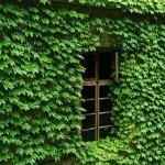 abandoned-village-zhoushan-china-108