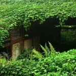 abandoned-village-zhoushan-china-109