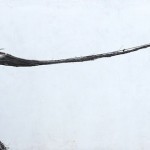 e66cd645ed21366b2ae0f4a8c3854f87