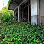 gouqi-island-abandoned-village-3[5]