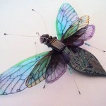 juliealicechappell06