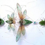 juliealicechappell10