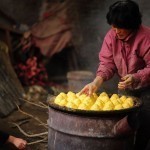 rescued-dogs-yulin-dog-meat-festival-china-9