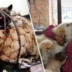yulin_woman_save